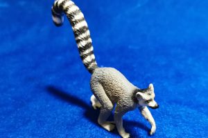 Ring-tailed lemur