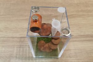 Spiral Stair Enclosure